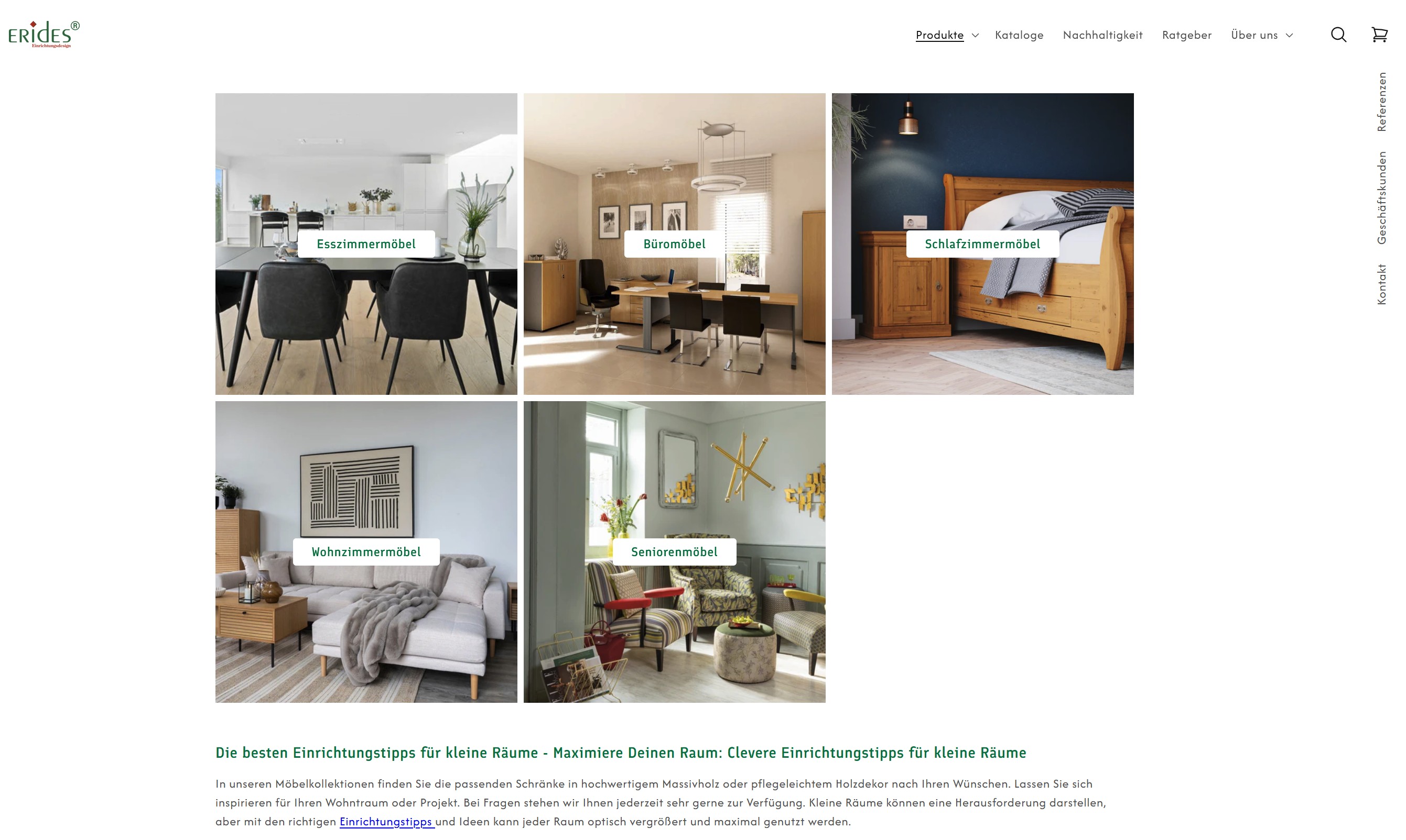 Website Vorschau von Erides