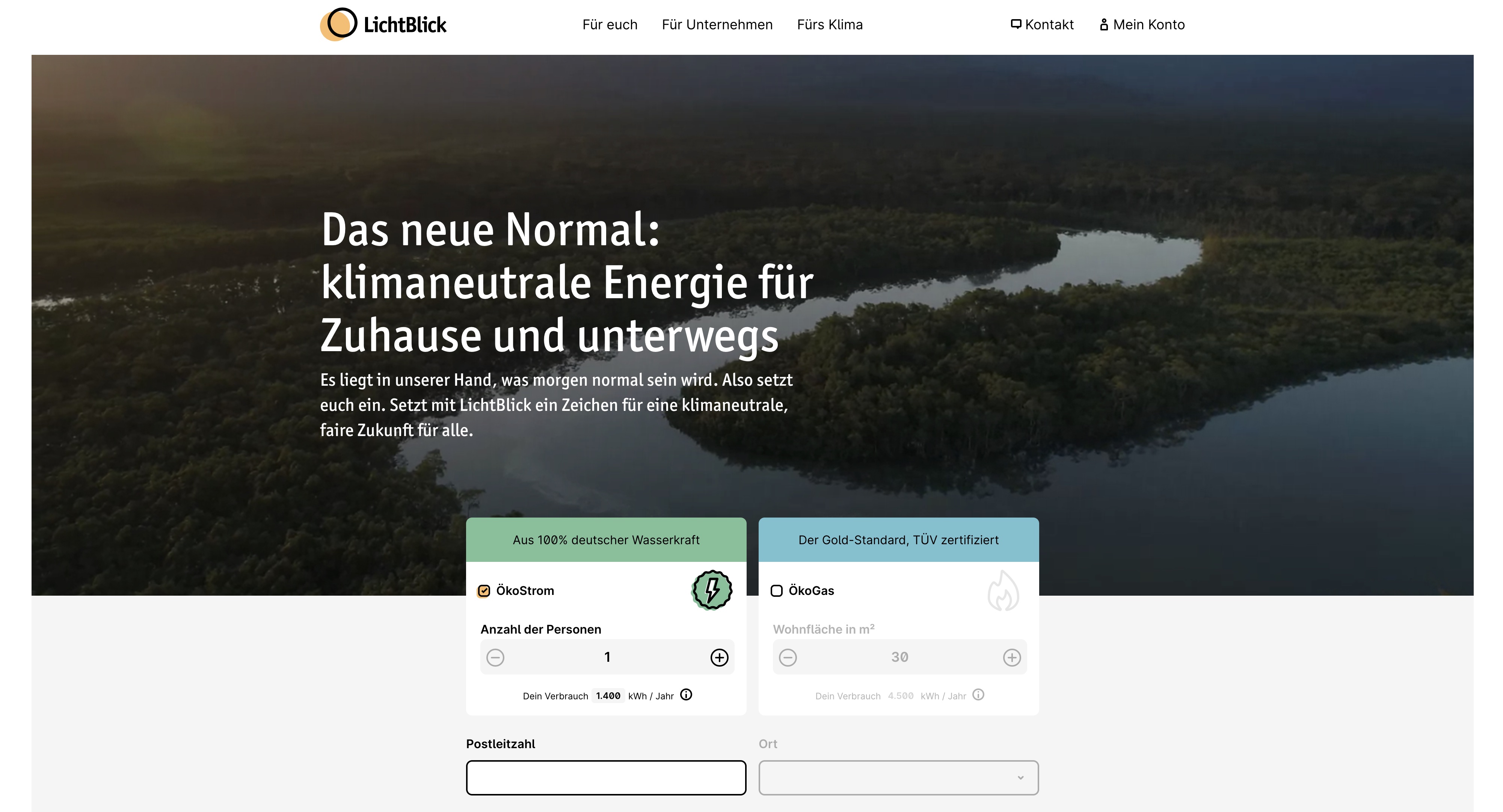 Website Vorschau von LichtBlick