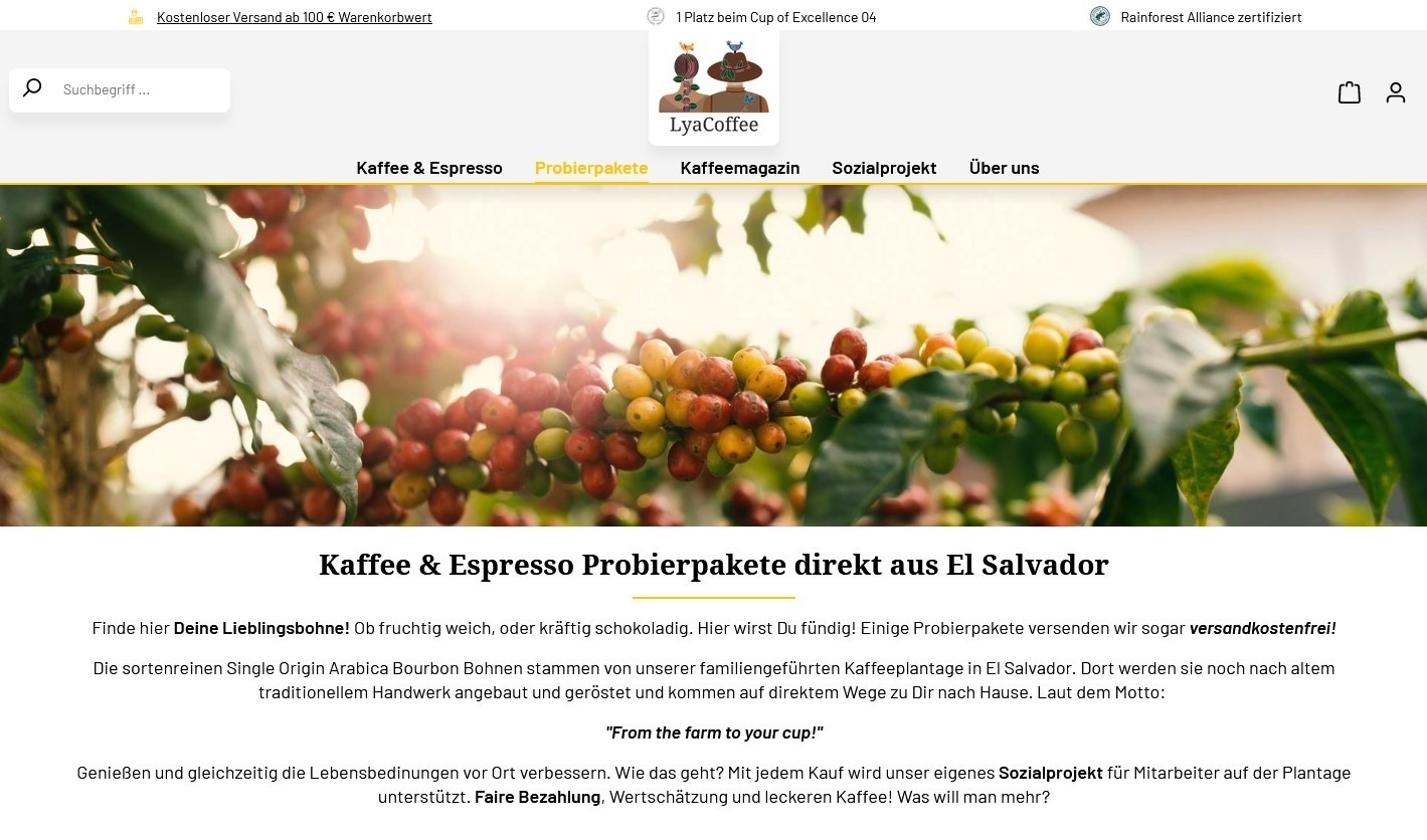 Website Vorschau von LyaCoffee