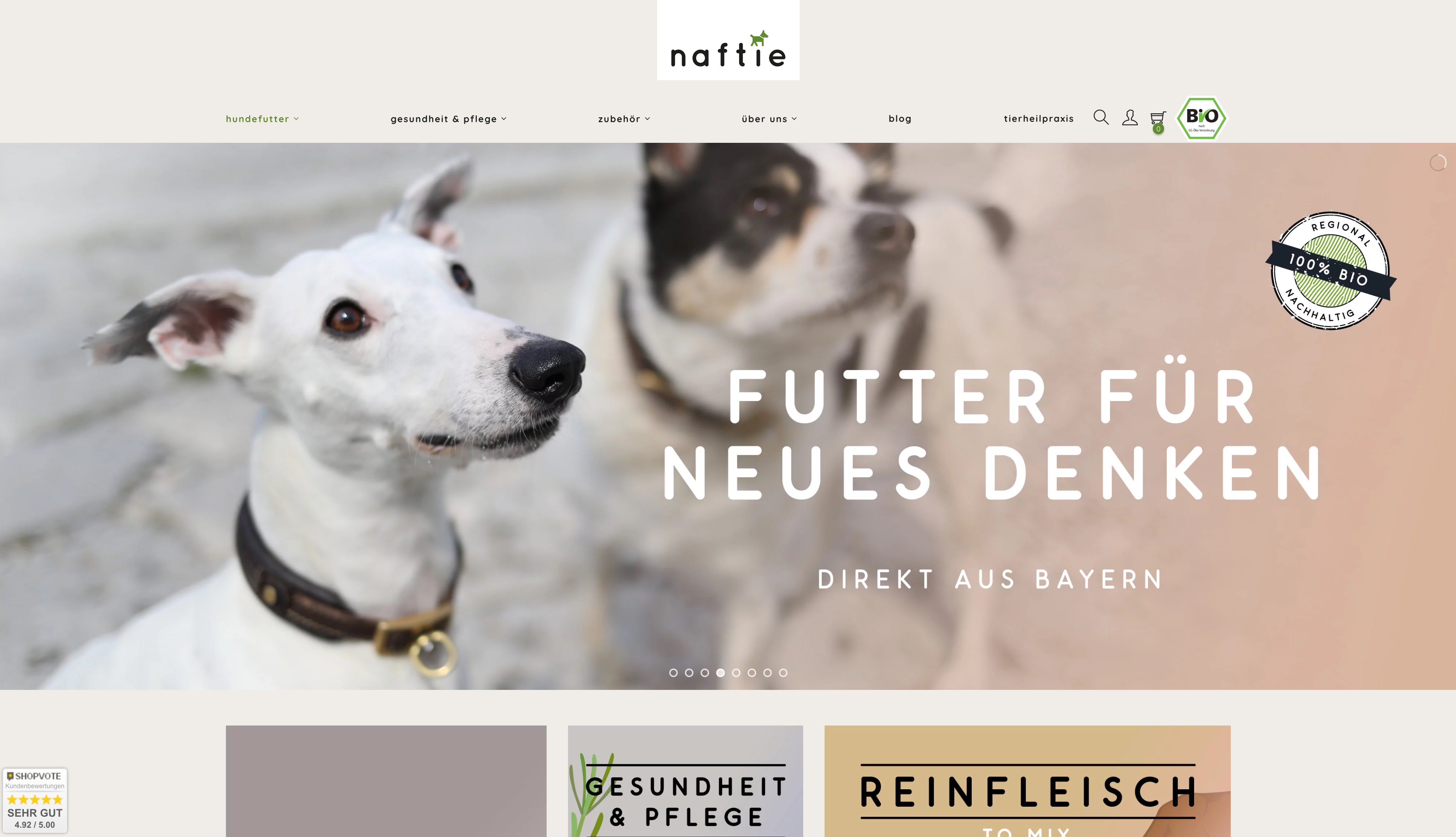 Website Vorschau von naftie