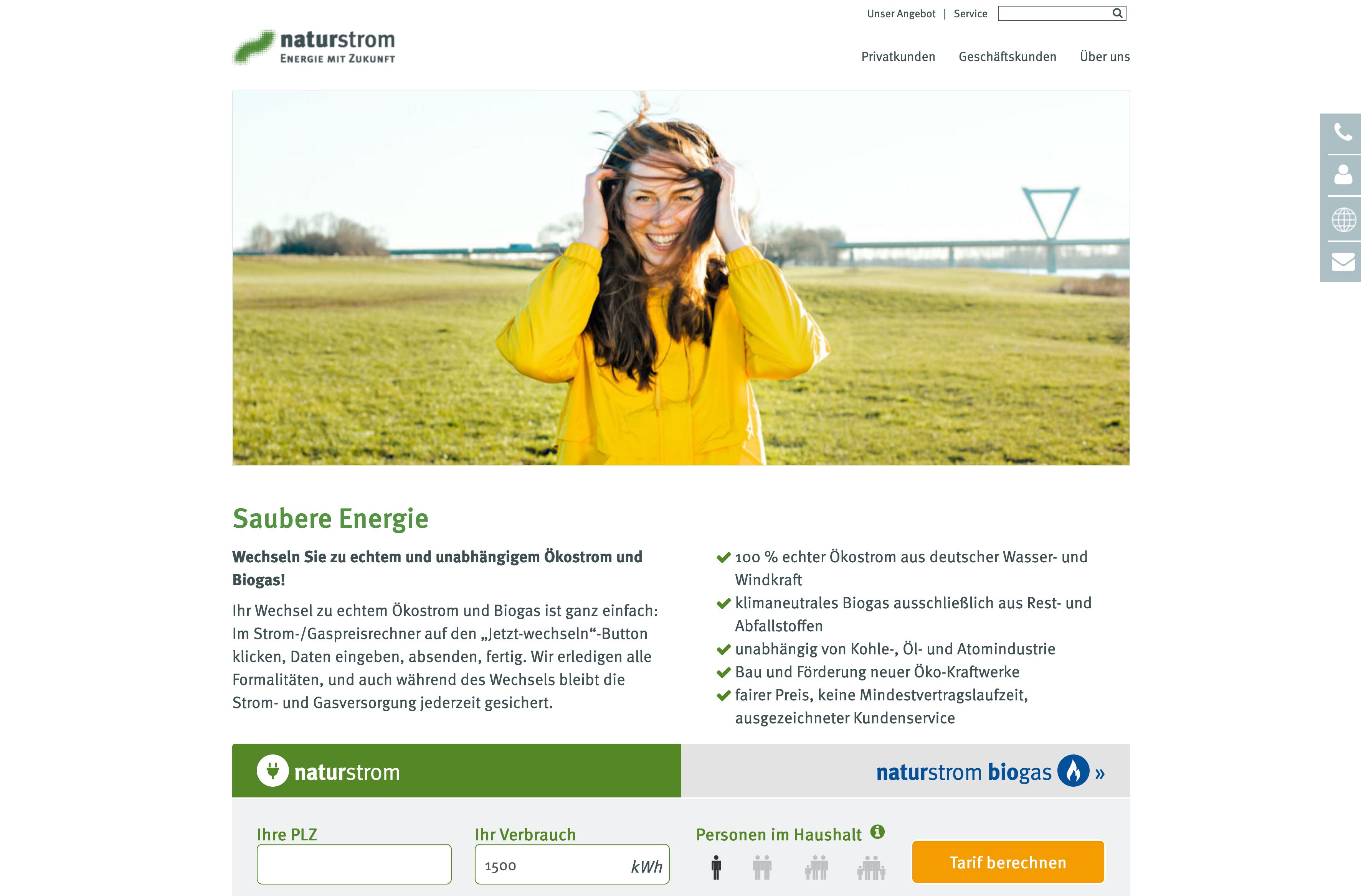 Website Vorschau von NATURSTROM