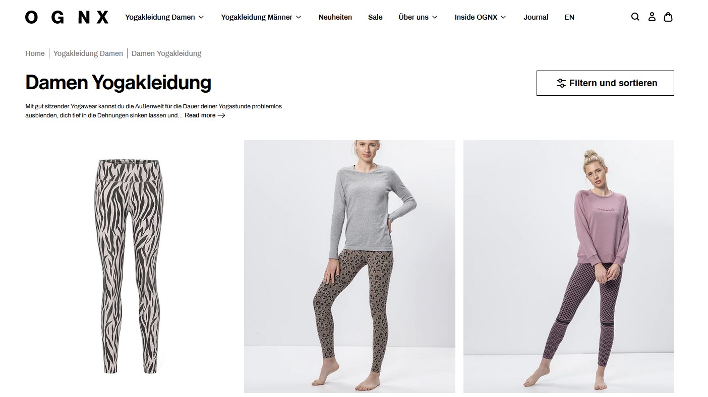 Website Vorschau von OGNX